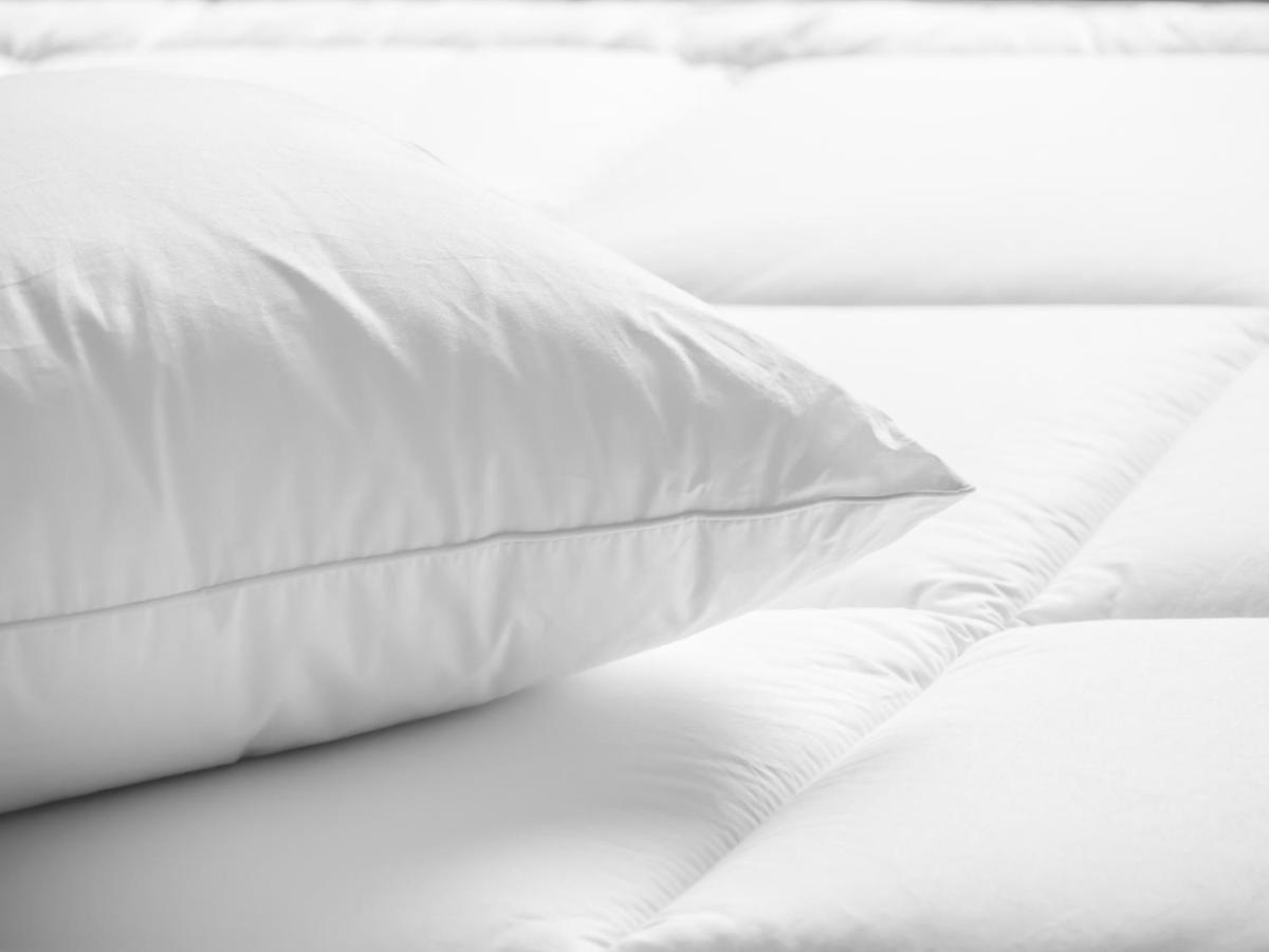Holiday Inn Cincinnati-Riverfront By Ihg Covington Eksteriør bilde